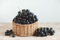 Bunch of black grapes in a round wicker basket on a old wooden table. Copy, empty space for text Royalty Free Stock Photo