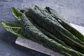 A bunch of black kale, Italian salad, Green vegetable leave, healthy eating, vegetarian food. Super food . Selective Royalty Free Stock Photo