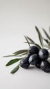 A bunch of black olives with leaves on a white background, AI Royalty Free Stock Photo