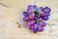 Bunch of black seedless grapes Royalty Free Stock Photo