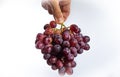 Bunch of black seedless grapes Royalty Free Stock Photo
