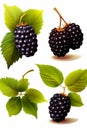 Bunch of blackberries with green leaves on them and white background. Generative AI Royalty Free Stock Photo