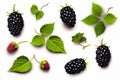 Bunch of blackberries with green leaves on white background. Generative AI Royalty Free Stock Photo