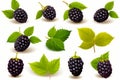 Bunch of blackberries with green leaves on white background. Generative AI Royalty Free Stock Photo