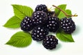 Bunch of blackberries with green leaves on white background. Generative AI Royalty Free Stock Photo