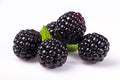 Bunch of blackberry fruits on white background