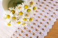 Bunch of blooming daisies on rustic wooden background with a doily Royalty Free Stock Photo