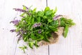 Bunch blooming mint Royalty Free Stock Photo