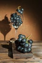 A bunch of blue dark grapes and a wine glass on a dark background in the conditions of artificial hard lighting close up. In a gla