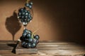 A bunch of blue dark grapes and a wine glass on a dark background in the conditions of artificial hard lighting close up. In a gla