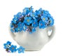 Bunch of blue forget me not flower Royalty Free Stock Photo