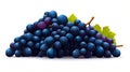 A bunch of blue grapes with green leaves on a white background Royalty Free Stock Photo