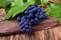 Bunch of blue Isabella grapes Royalty Free Stock Photo