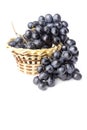 A bunch of blue grapes in a basket isolated on a white background Royalty Free Stock Photo