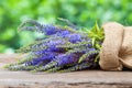 Bunch of blue summer flowers in a bag. Royalty Free Stock Photo