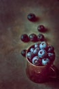 Bunch of blueberried in rusty metal jug on dark stone concrete background. Scattered berries. Creative toned image with copy space