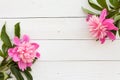 Bunch, bouquet of pink peonies on a wooden background. Frame of flowers Royalty Free Stock Photo