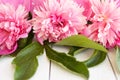 Bunch, bouquet of pink peonies on a wooden background. Frame of flowers Royalty Free Stock Photo