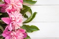 Bunch, bouquet of pink peonies on a wooden background. Frame of flowers Royalty Free Stock Photo