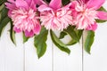 Bunch, bouquet of pink peonies on a wooden background. Frame of flowers Royalty Free Stock Photo