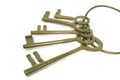 Bunch Of Brass Keys