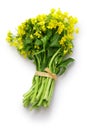 a bunch of brassica rapa