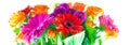 A bunch of bright colourful mixed flowers. Royalty Free Stock Photo