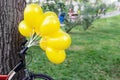 Bunch of bright yellow balloons with bicycle near big tree in city park. Green grass on background. Bike party and event outdoors Royalty Free Stock Photo