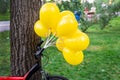 Bunch of bright yellow balloons with bicycle near big tree in city park. Green grass on background. Bike party and event outdoors Royalty Free Stock Photo