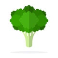 Bunch of broccoli vector flat isolated Royalty Free Stock Photo