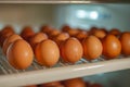A bunch of brown eggs sitting on top of a shelf in an oven Royalty Free Stock Photo