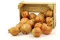 Bunch of brown onions coming from a wooden box