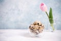 A bunch of brown quail eggs in a transparent bowl. Nearby are pink tulip. White and blue pastel background. Copy space Royalty Free Stock Photo