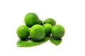 A bunch of Calamansi Royalty Free Stock Photo