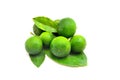 A bunch of Calamansi Royalty Free Stock Photo