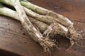 Bunch of calÃÂ§ots on wooden table