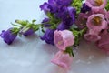 Bunch of Campanula champion pink, purple Canterbury Bells, or Bellflower on white background. Close-up of bell-shaped flowers.