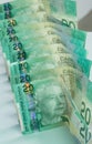 Portrait Canadian Twenty Dollar Bills Royalty Free Stock Photo