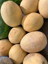 A bunch of cantalopes in a bin Royalty Free Stock Photo