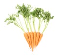 Bunch of carrot with the green top isolated over white background Royalty Free Stock Photo