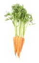 Bunch of carrot with the green top isolated over white background Royalty Free Stock Photo