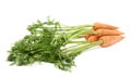 Bunch of carrot with the green top isolated over white background Royalty Free Stock Photo