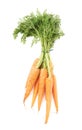 Bunch of carrot with the green top isolated over white background Royalty Free Stock Photo