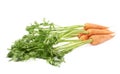 Bunch of carrot with the green top isolated over white background Royalty Free Stock Photo