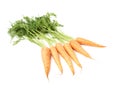 Bunch of carrot with the green top isolated over white background Royalty Free Stock Photo