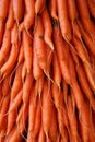 Bunch of carrots