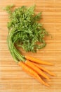 Bunch of carrots Royalty Free Stock Photo