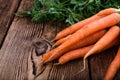 Bunch of Carrots Royalty Free Stock Photo