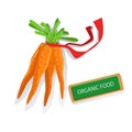 Bunch Of Carrots With Red Ribbon Fresh Organic Vegetables Illustration Farm Grown Eco Products Royalty Free Stock Photo