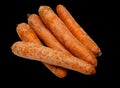 A bunch of carrots are sitting on a black background Royalty Free Stock Photo